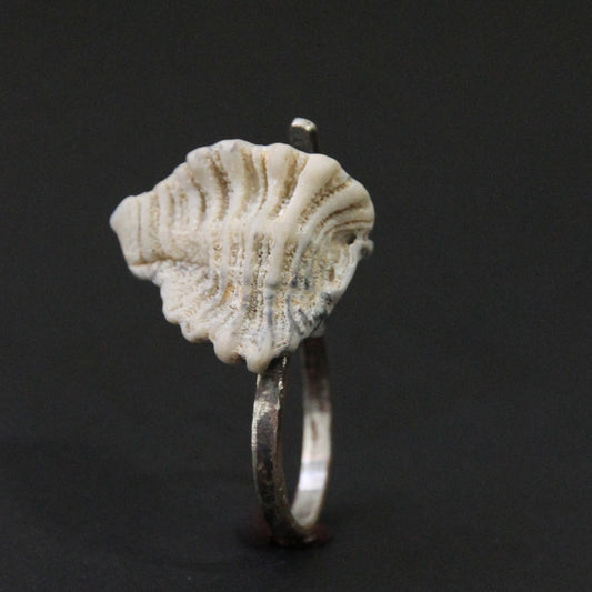 Кільце з мушлею