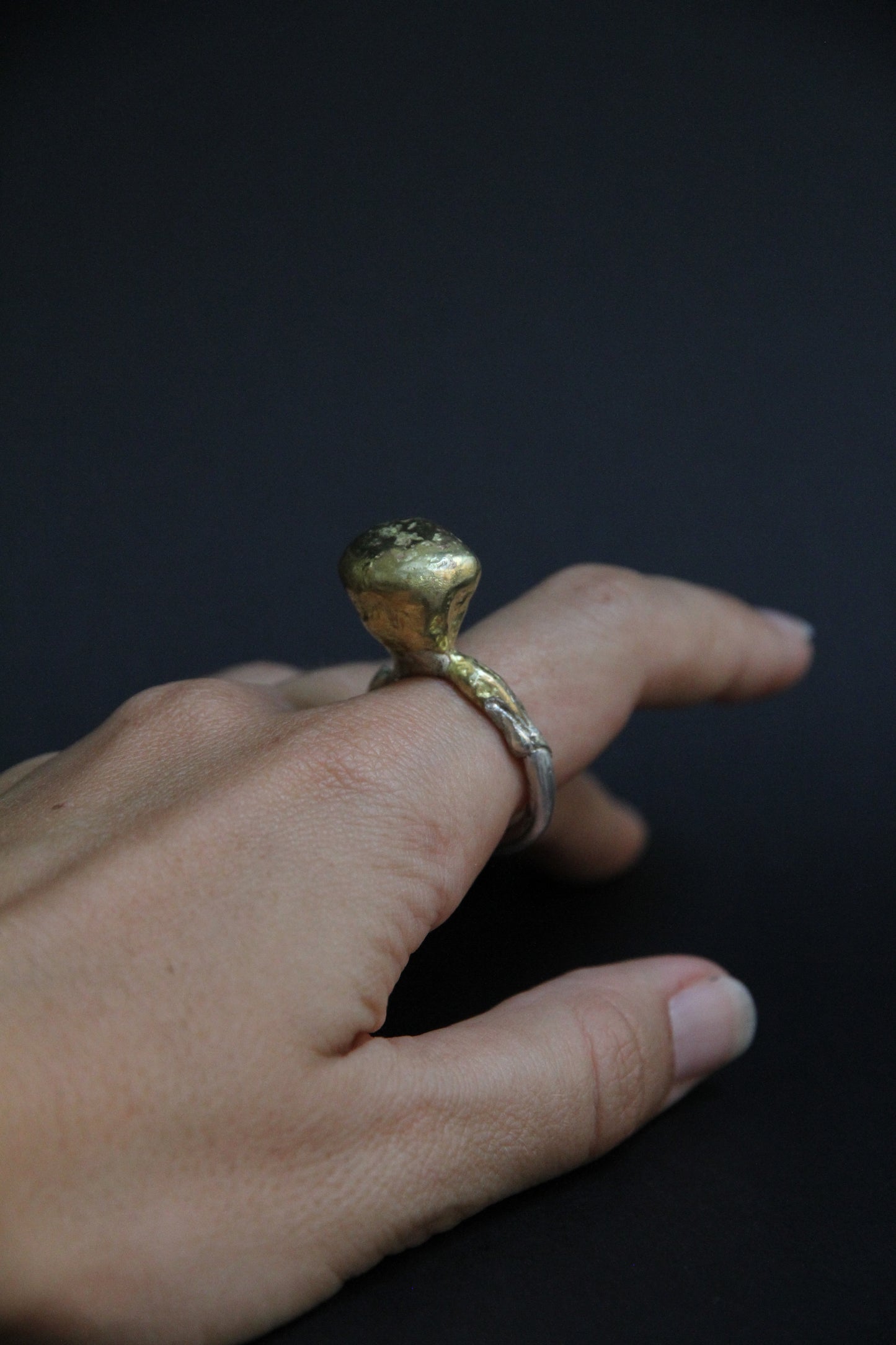 Anillo Golden Crest