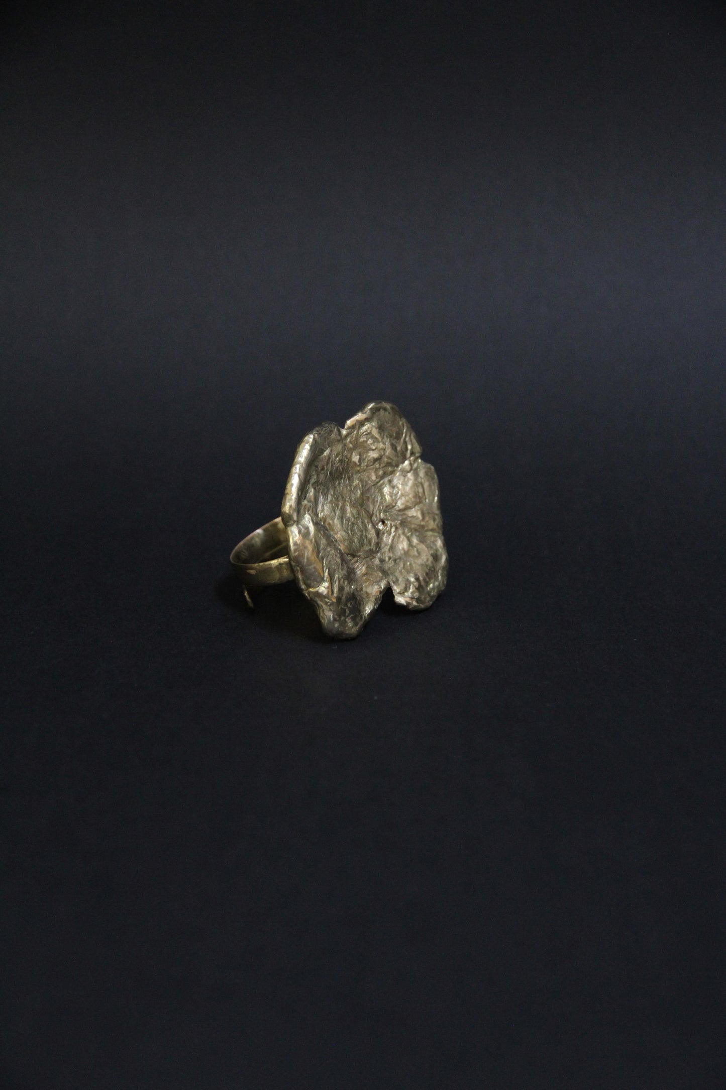 Anillo Hoja del Sol
