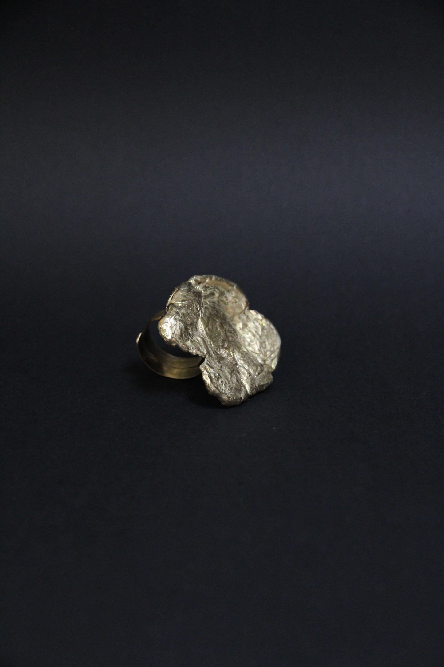 Anillo Hoja del Sol