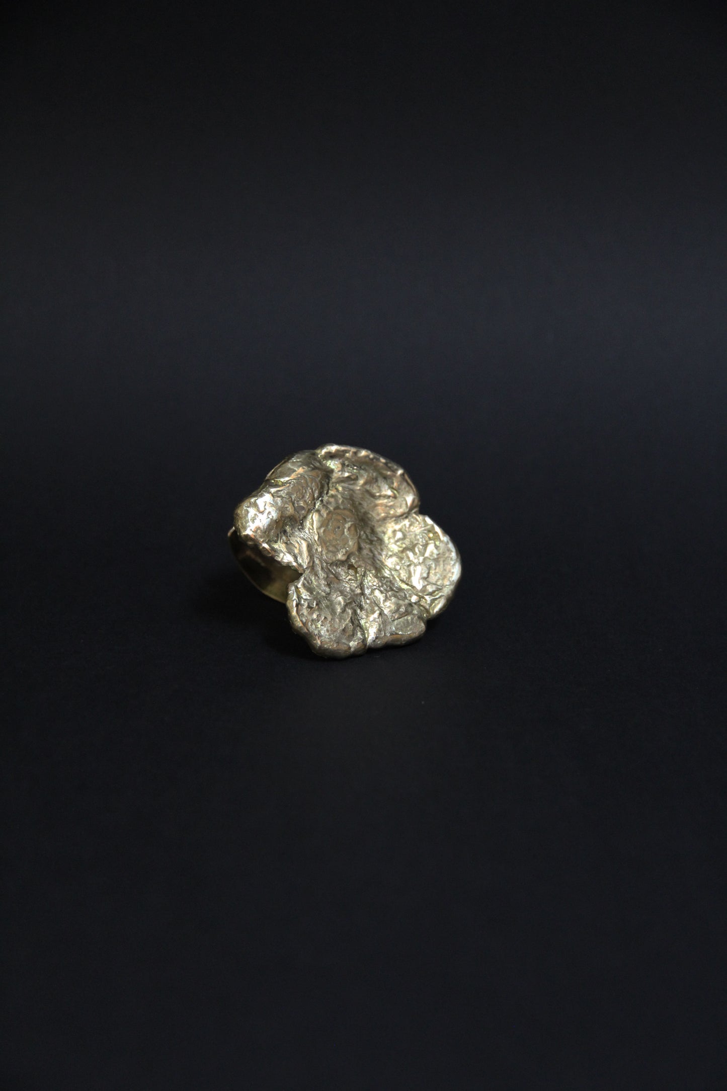 Anillo Hoja del Sol