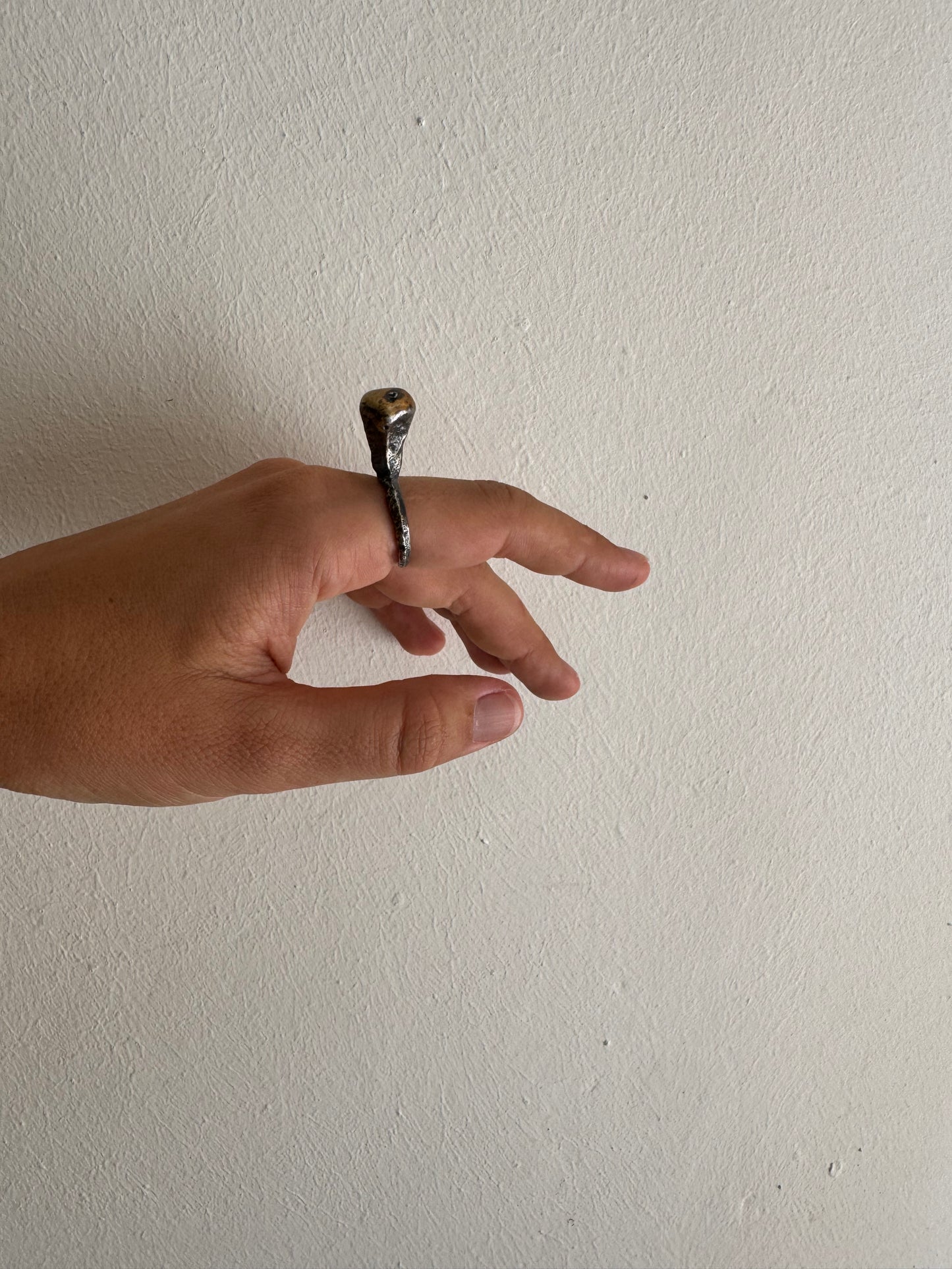 Anillo Con