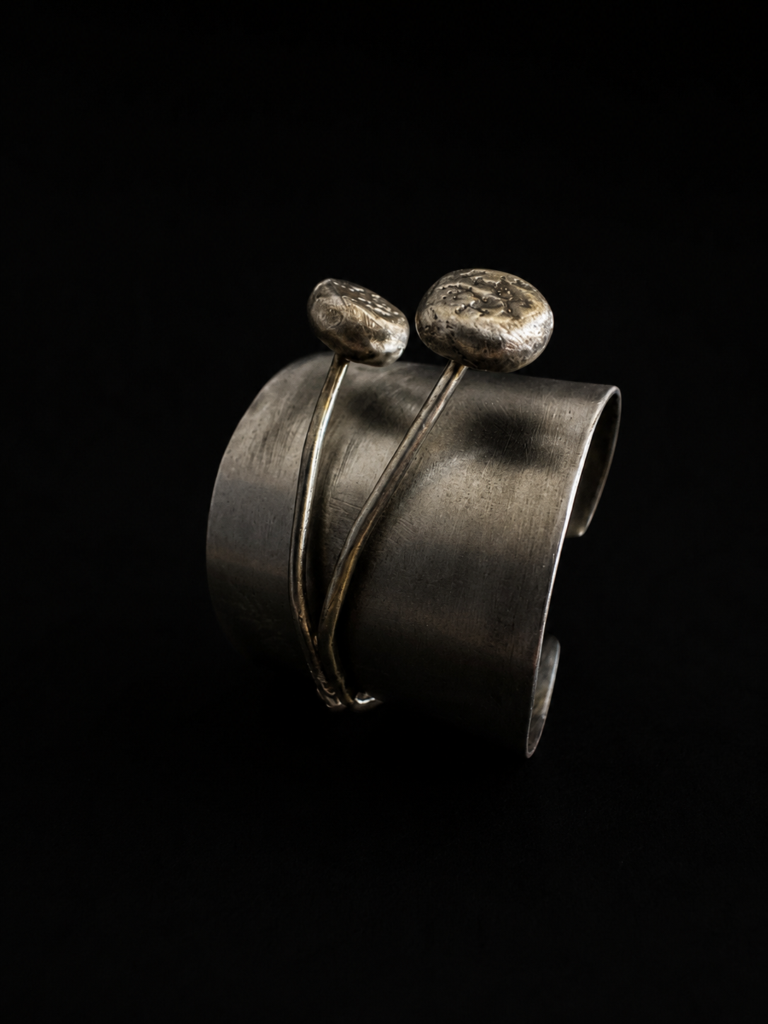 Ring Shizuku 2