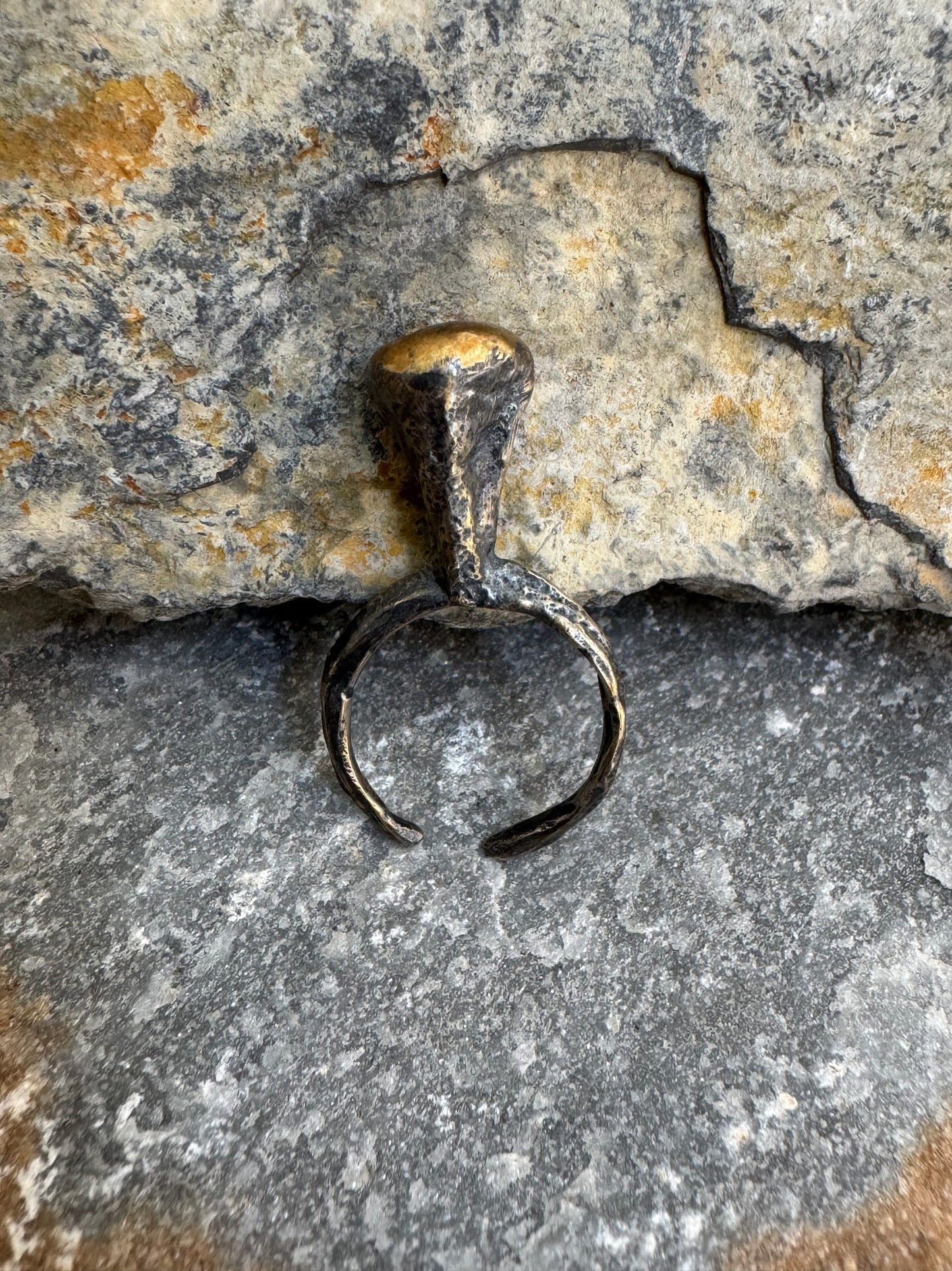 Anillo Con