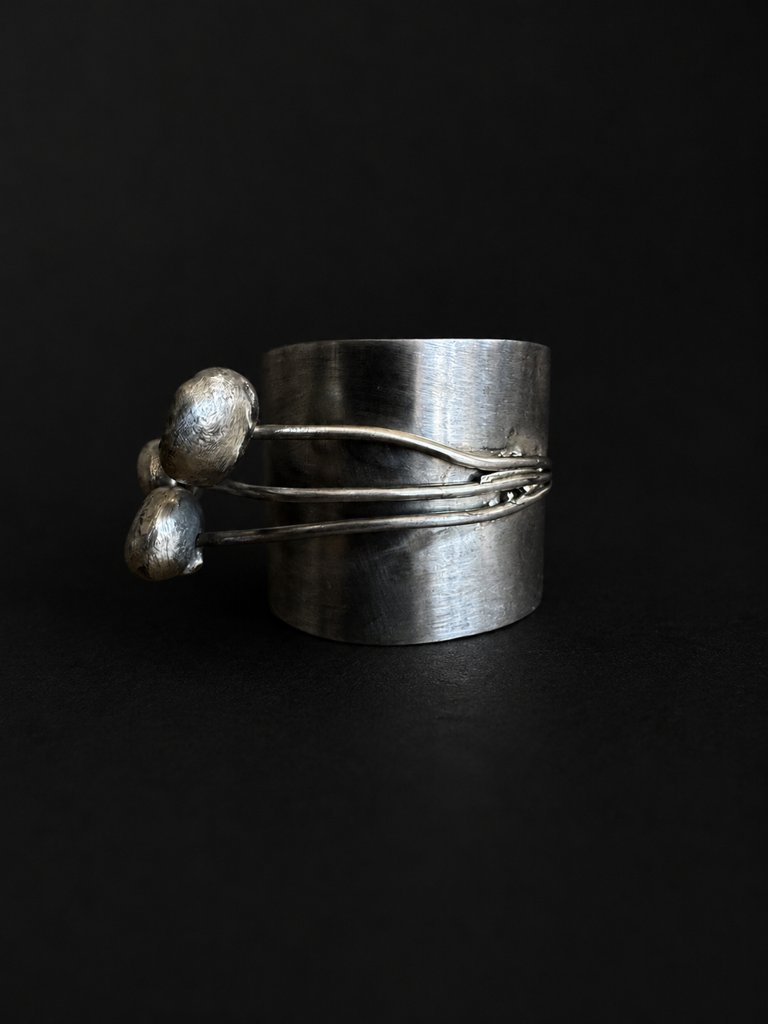 Ring Shizuku 1