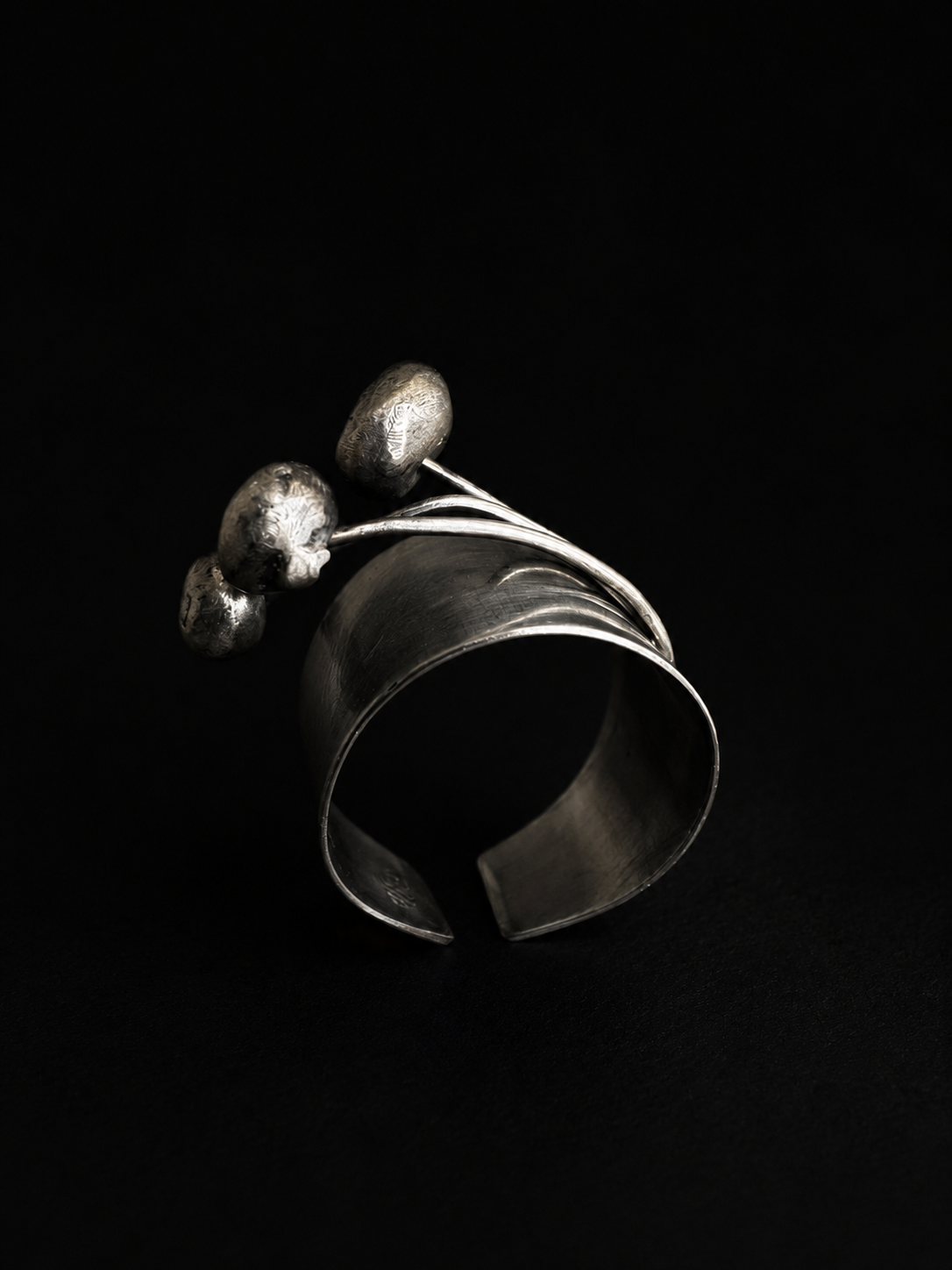 Ring Shizuku 1