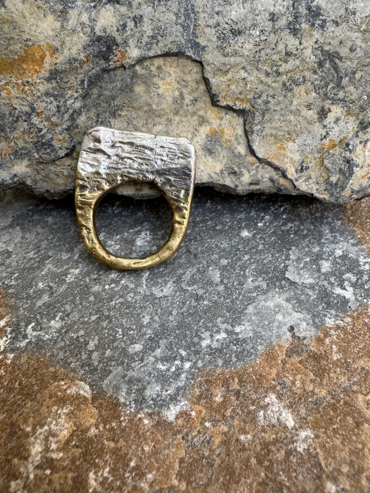 Anillo Brut 