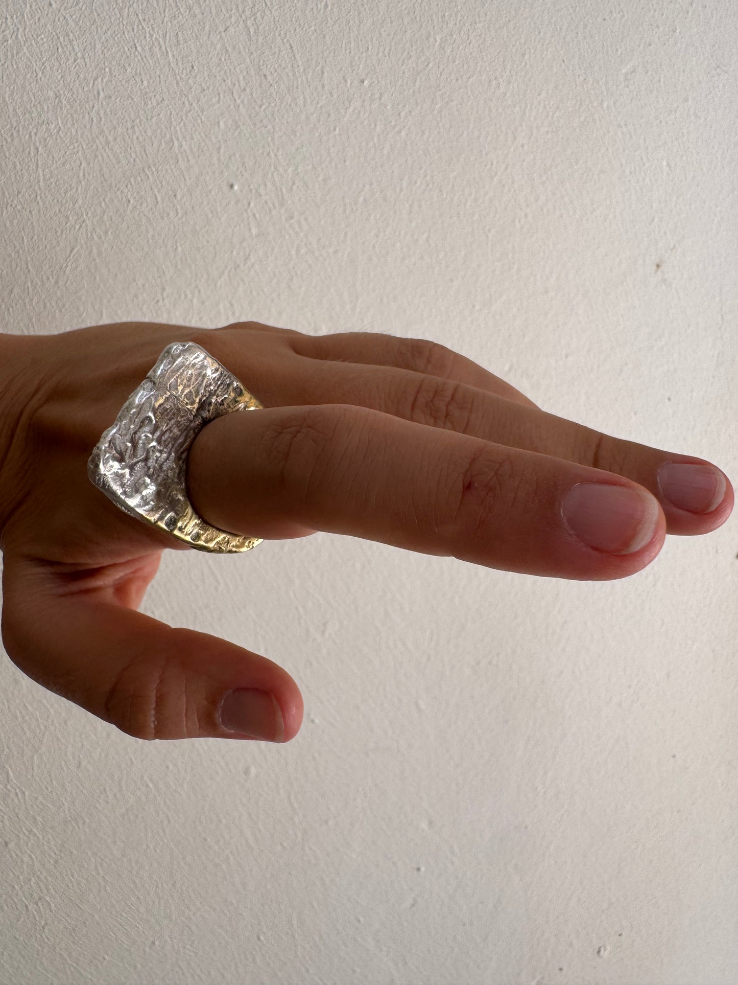 Anillo Brut 
