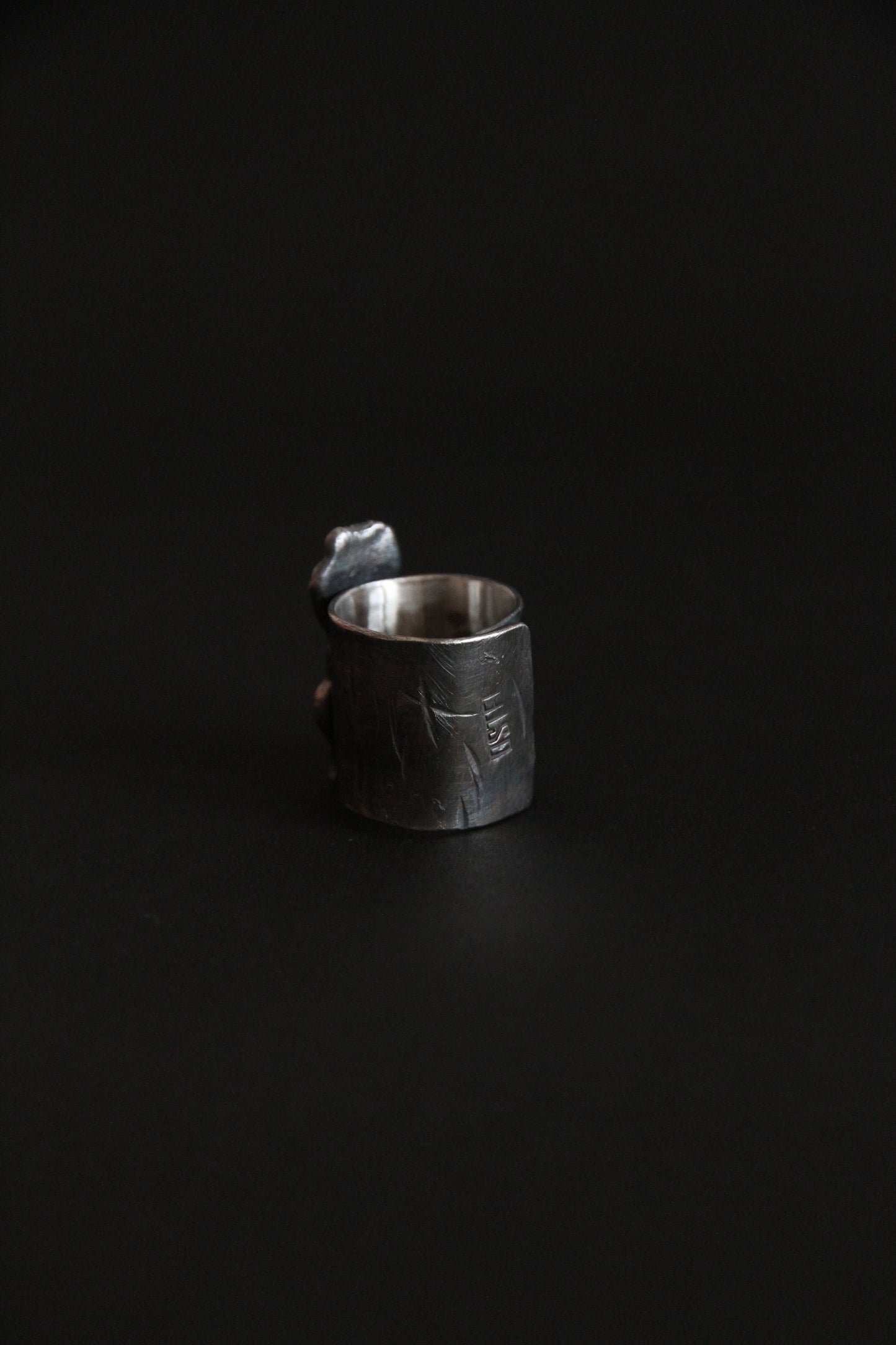 Ring EROSION unisex