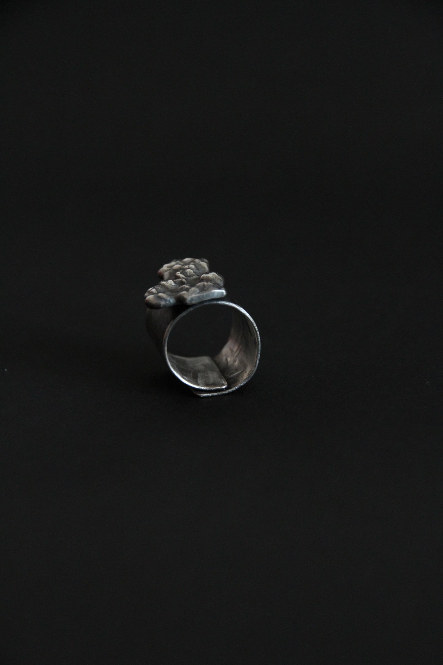 Ring EROSION unisex